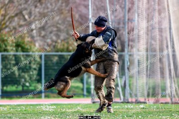 ENCI_04_3423.jpg
