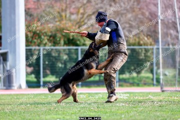 ENCI_04_3425.jpg