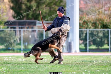 ENCI_04_3429.jpg