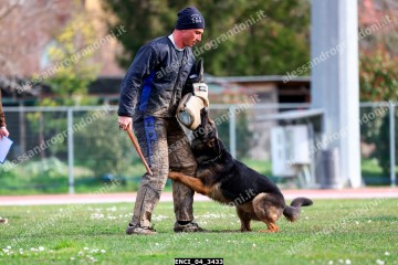 ENCI_04_3433.jpg