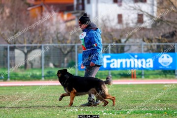 ENCI_04_3447.jpg