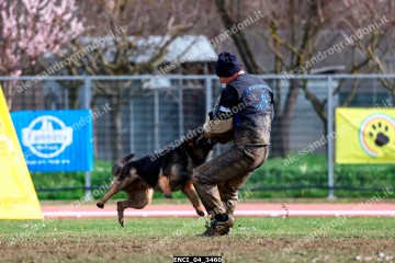 ENCI_04_3460.jpg