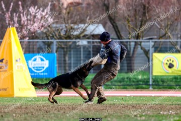 ENCI_04_3462.jpg