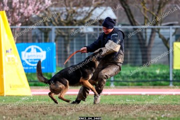 ENCI_04_3465.jpg