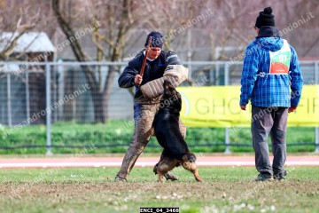 ENCI_04_3468.jpg