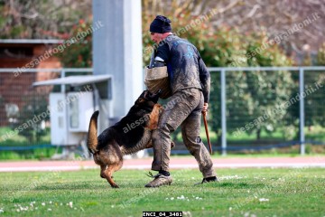 ENCI_04_3481.jpg