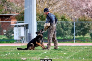 ENCI_04_3487.jpg