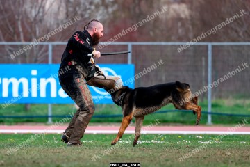 ENCI_04_3508.jpg