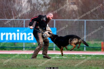 ENCI_04_3511.jpg