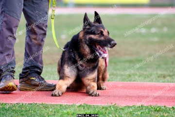 ENCI_04_3639.jpg