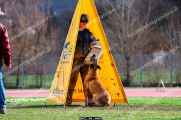 ENCI_04_3667.jpg