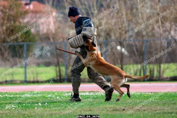 ENCI_04_3679.jpg