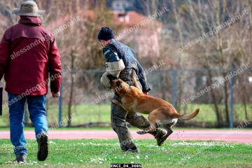 ENCI_04_3685.jpg