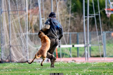 ENCI_04_3688.jpg