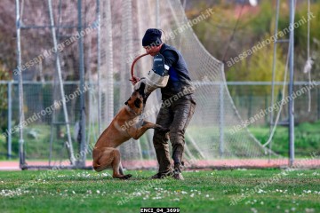 ENCI_04_3699.jpg