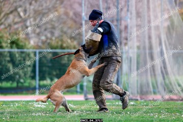 ENCI_04_3717.jpg