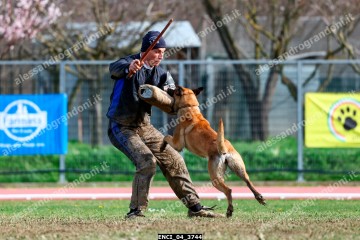 ENCI_04_3744.jpg