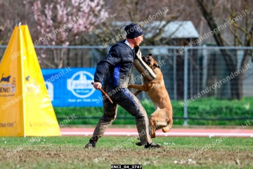 ENCI_04_3747.jpg