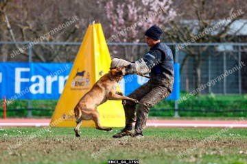 ENCI_04_3755.jpg