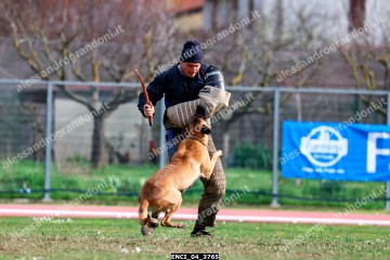 ENCI_04_3765.jpg