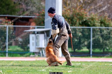 ENCI_04_3770.jpg