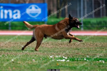 ENCI_04_3852.jpg
