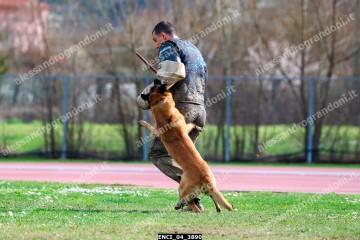ENCI_04_3890.jpg
