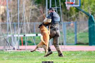 ENCI_04_3901.jpg