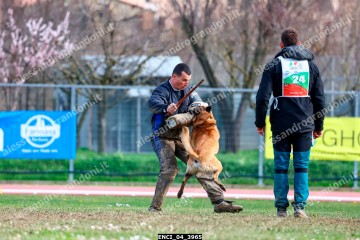 ENCI_04_3965.jpg