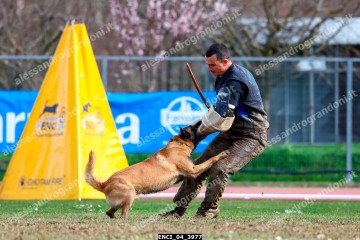 ENCI_04_3977.jpg