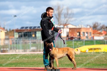 ENCI_04_4228.jpg