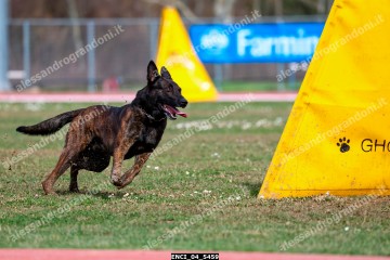 ENCI_04_5459.jpg