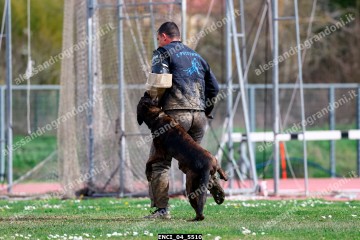 ENCI_04_5510.jpg