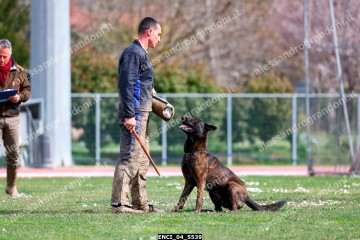 ENCI_04_5539.jpg