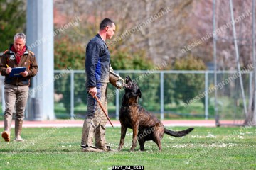 ENCI_04_5541.jpg