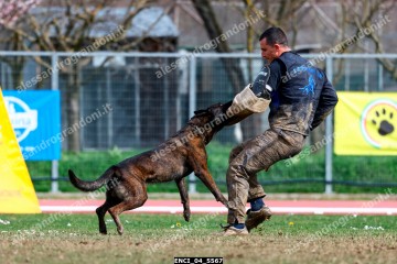 ENCI_04_5567.jpg