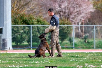 ENCI_04_5583.jpg