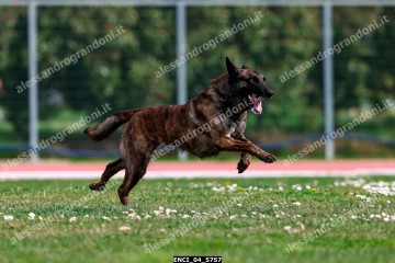 ENCI_04_5757.jpg