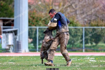 ENCI_04_5810.jpg