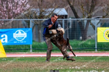 IMG_5842.jpg