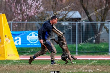 IMG_5845.jpg