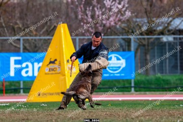 IMG_5856.jpg