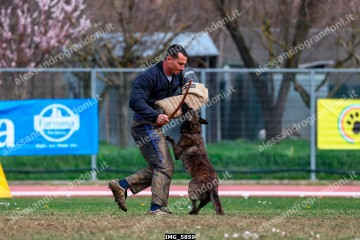 IMG_5859.jpg