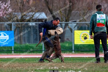 IMG_5862.jpg