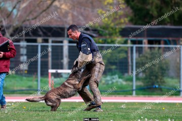 IMG_5869.jpg