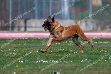 IMG_6271.jpg
