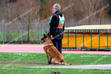 IMG_6311.jpg