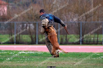 IMG_6320.jpg