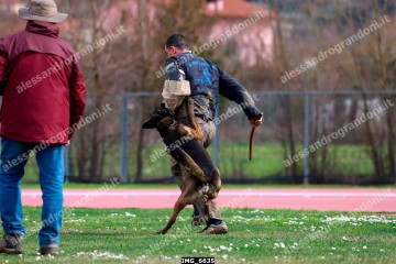 IMG_6635.jpg