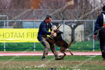 IMG_6678.jpg